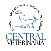 Logo clientes de Ocean print